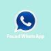 Fouad WhatsApp