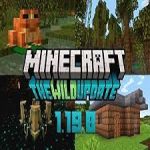 Minecraft 1.19.0 APK