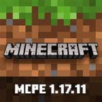 Minecraft 1.17.11 APK